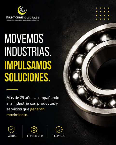 Pieza de comunicación Rulemanes Industriales 244