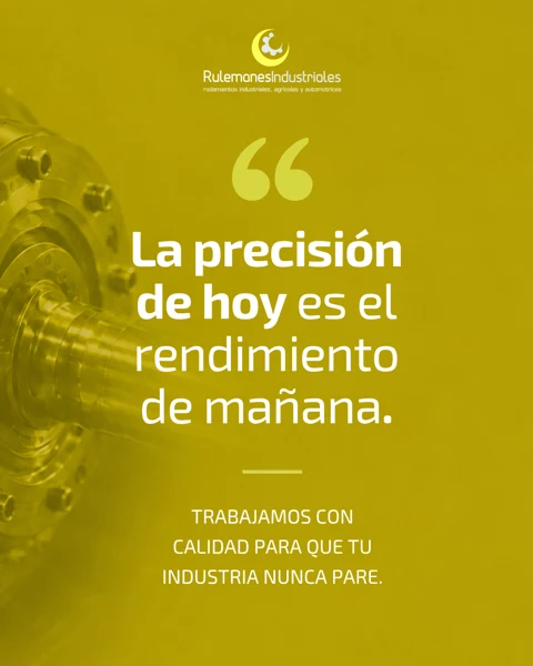 Pieza de comunicación Rulemanes Industriales 246